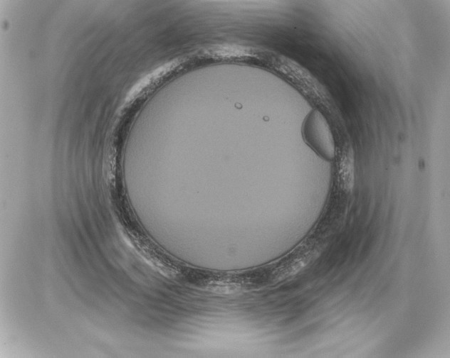 X0000085220732200704091931