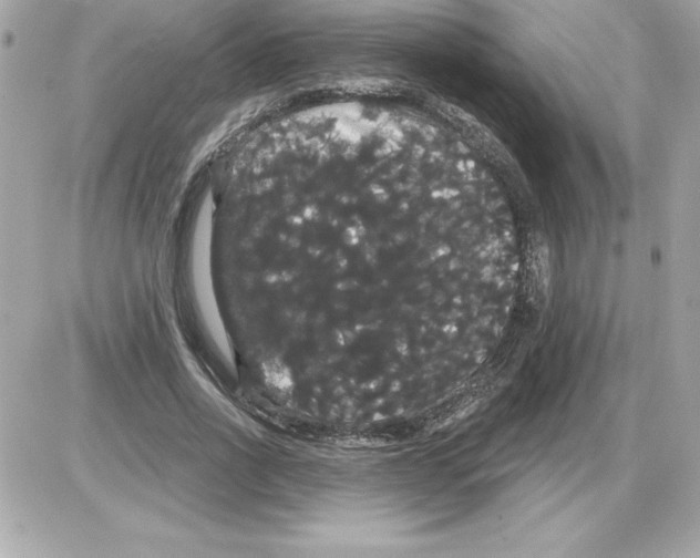 X0000085220734200704091931