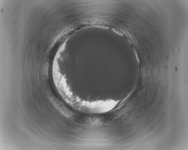 X0000085220735200704091931