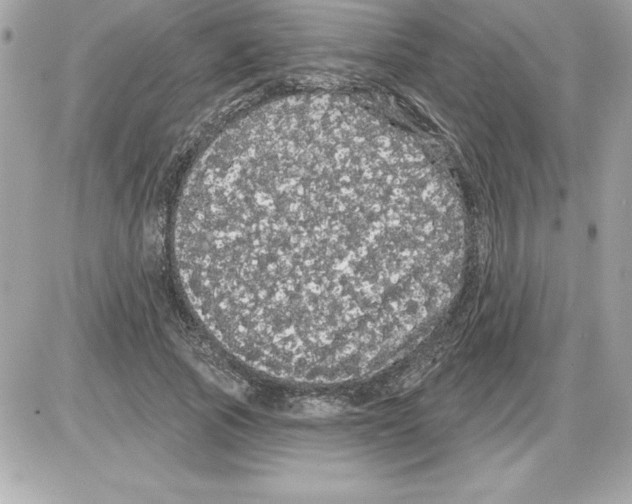 X0000085220737200704091931