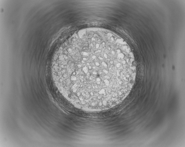 X0000085220738200704091931