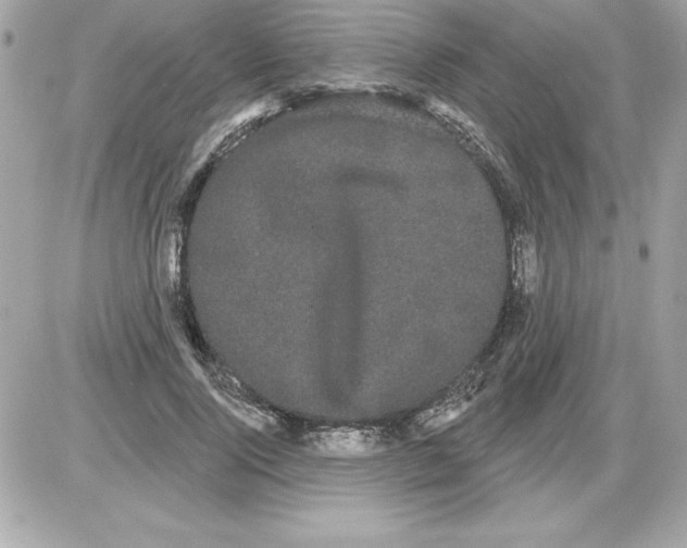 X0000085220740200704091931