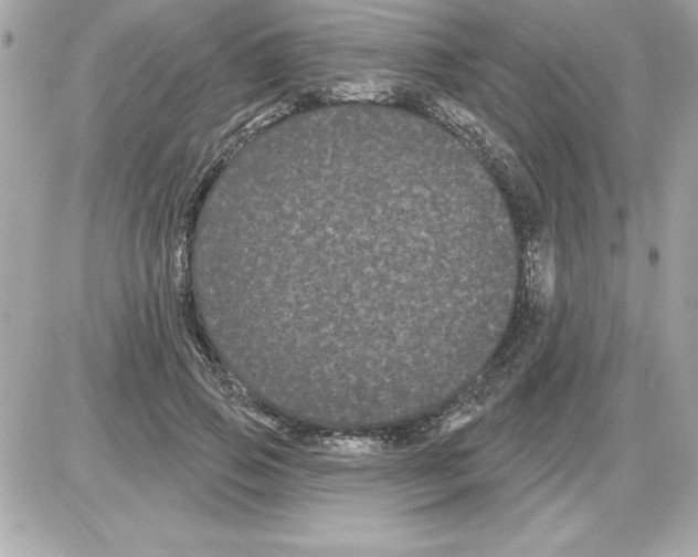 X0000085220741200704091931