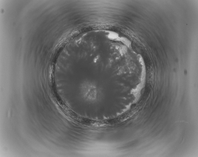 X0000085220742200704091931