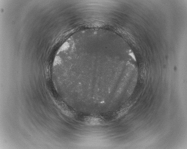 X0000085220743200704091931