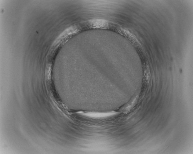 X0000085220744200704091931