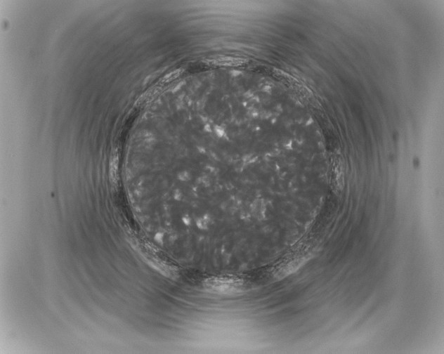 X0000085220745200704091931