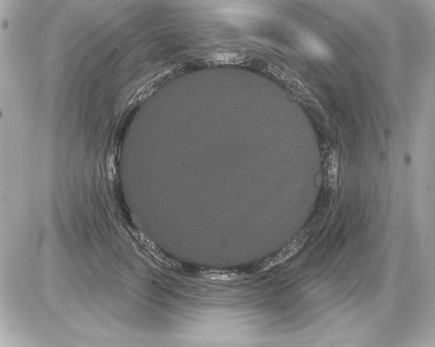 X0000085220746200704091931