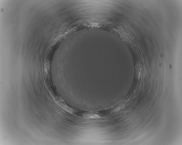 X0000085220747200704091931