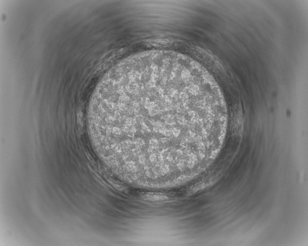 X0000085220749200704091931