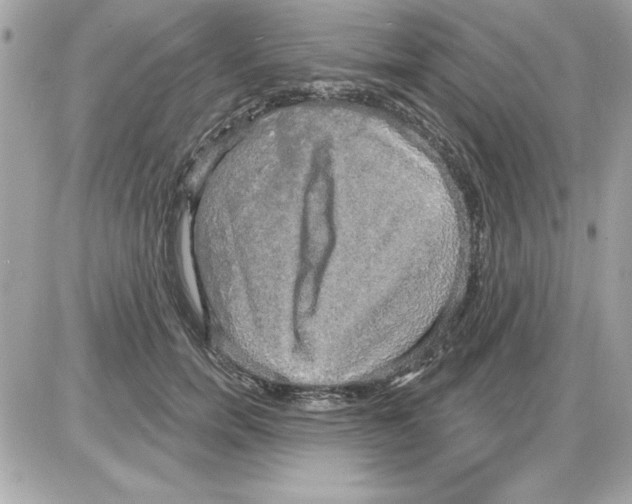 X0000085220750200704091931