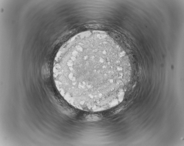 X0000085220751200704091931