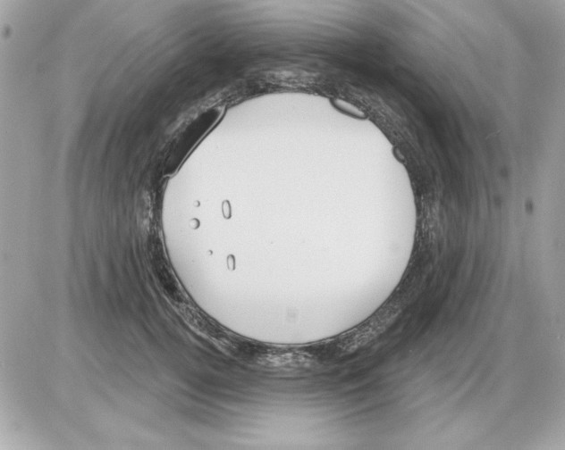 X0000085220752200704091931