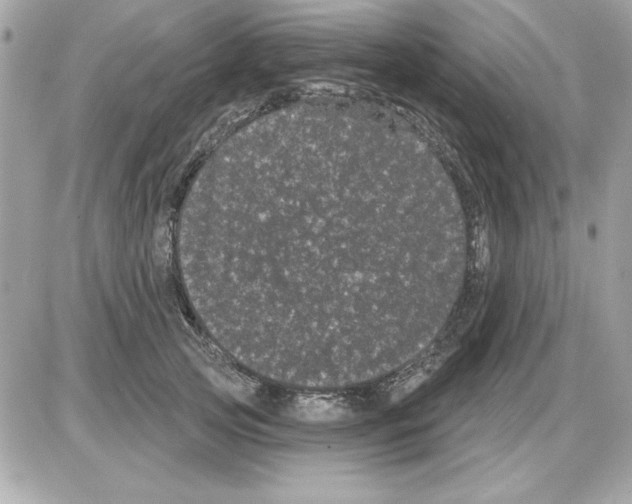 X0000085220753200704091931