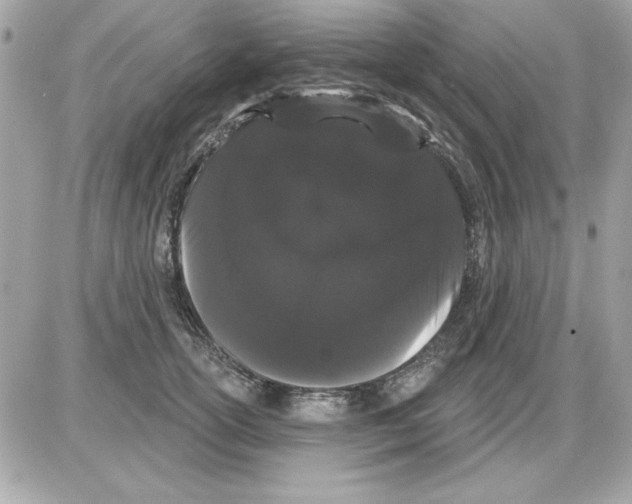 X0000085220754200704091931