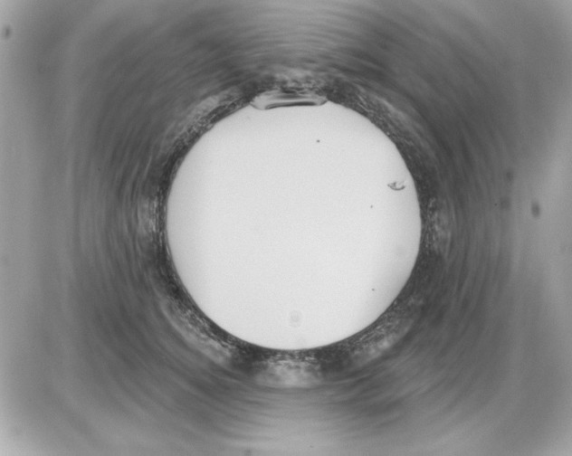 X0000085220756200704091931