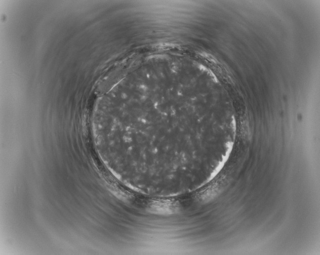 X0000085220757200704091931