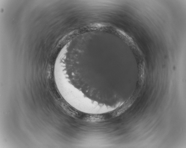 X0000085220758200704091931