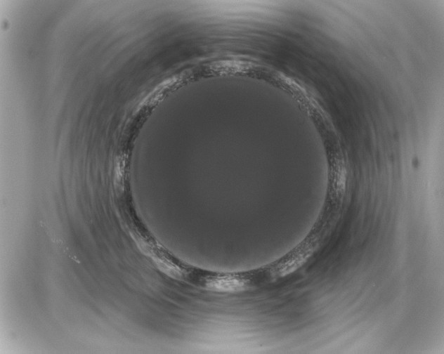 X0000085220759200704091931