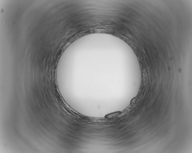 X0000085220760200704091931