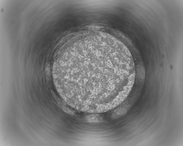 X0000085220761200704091931