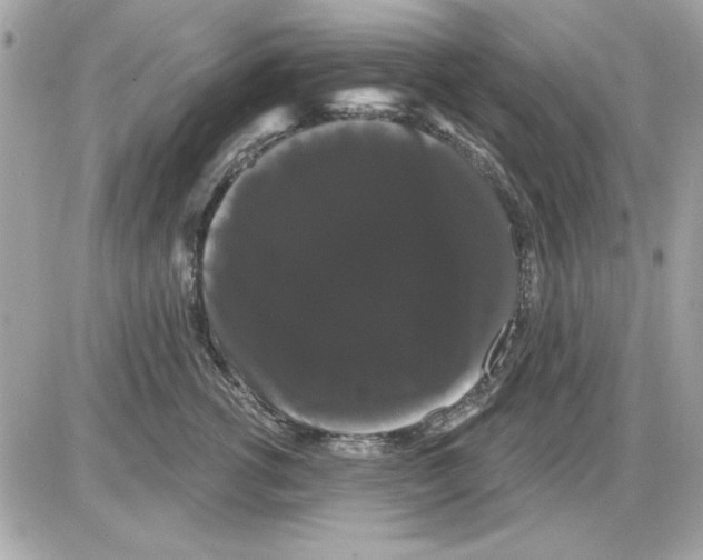 X0000085220762200704091932