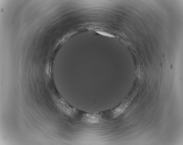 X0000085220763200704091932