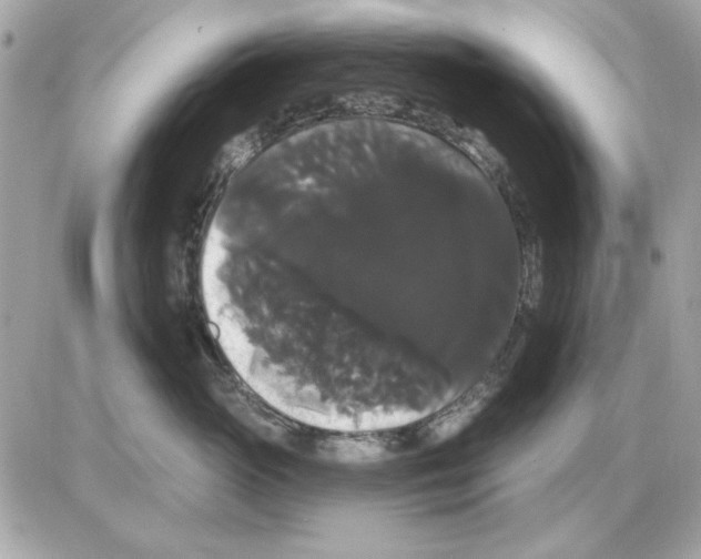 X0000085220765200704091932