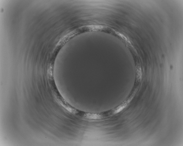 X0000085220766200704091932