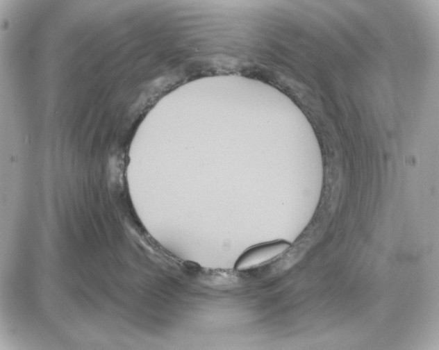 X0000085220768200704091932