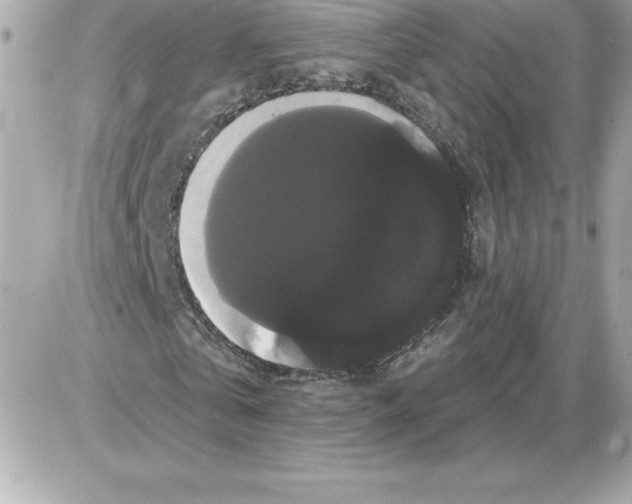 X0000085220769200704091931