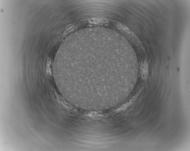 X0000085220770200704091931