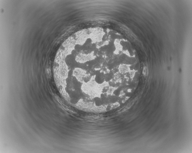 X0000085220771200704091931