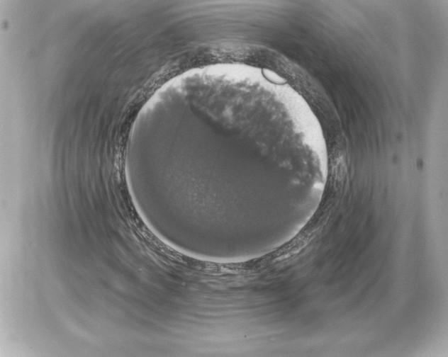 X0000085220772200704091931