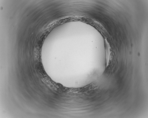 X0000085220773200704091931