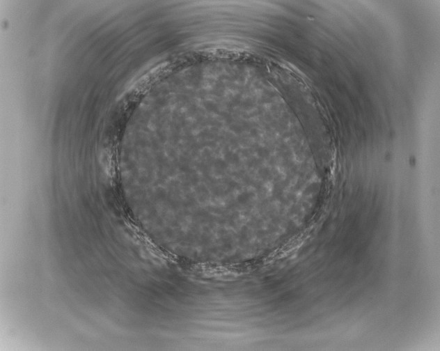 X0000085220774200704091931