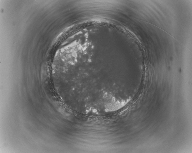 X0000085220776200704091931