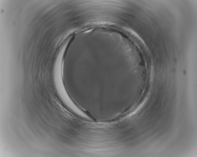 X0000085220777200704091931