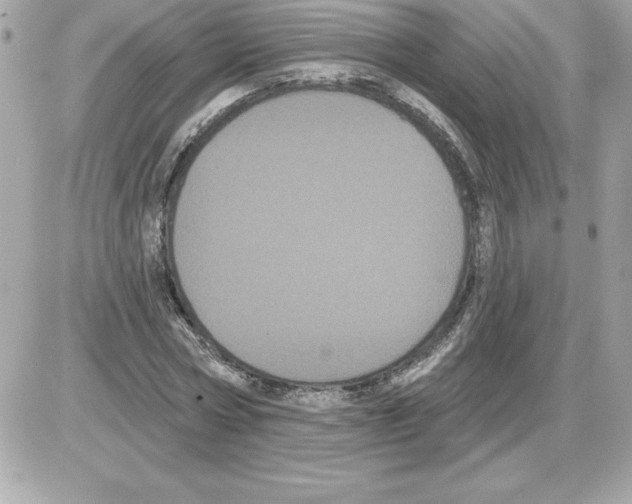 X0000085220778200704091931