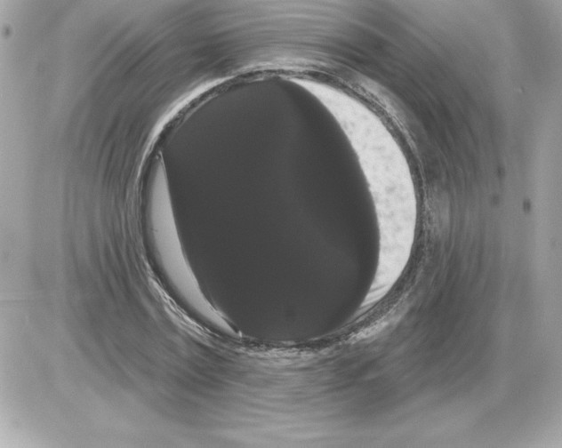 X0000085220779200704091931