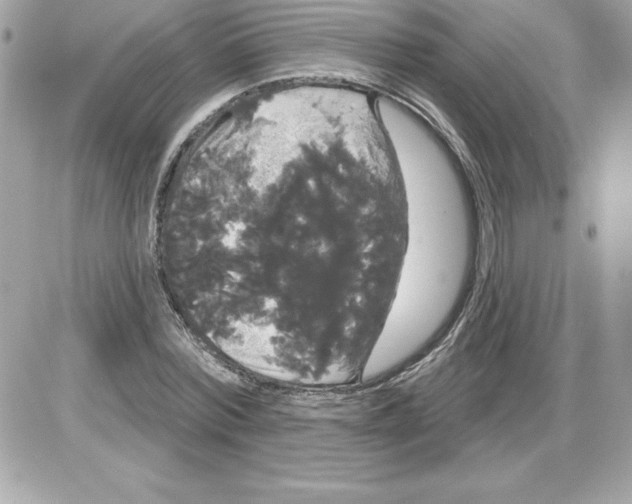 X0000085220780200704091931