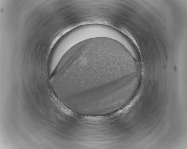 X0000085220781200704091931