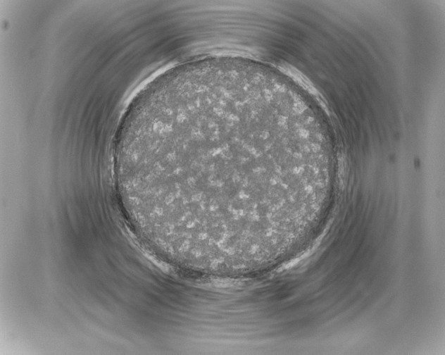 X0000085220782200704091931