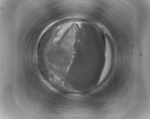 X0000085220784200704091931