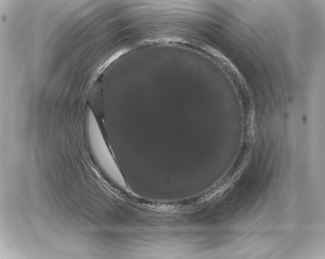 X0000085220785200704091931