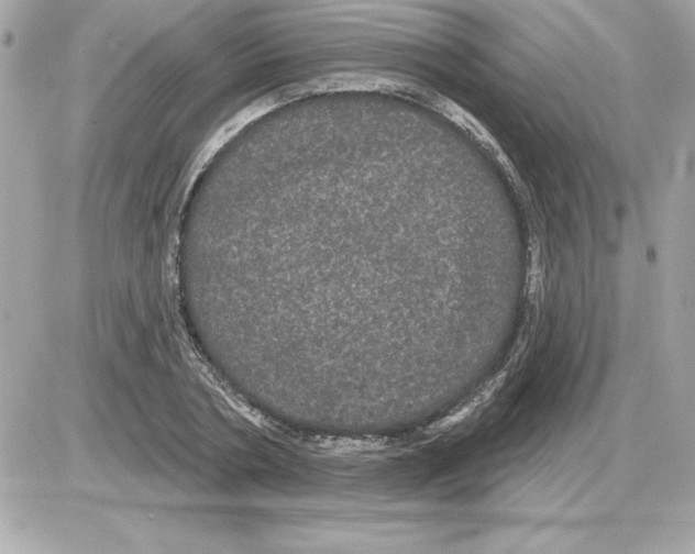 X0000085220786200704091931