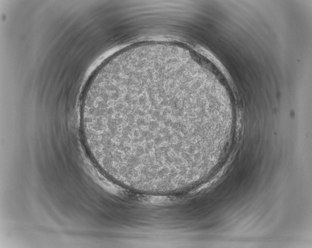 X0000085220787200704091931