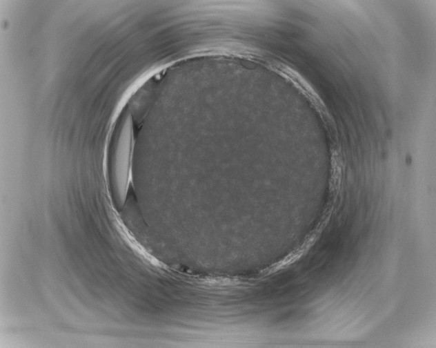 X0000085220788200704091931