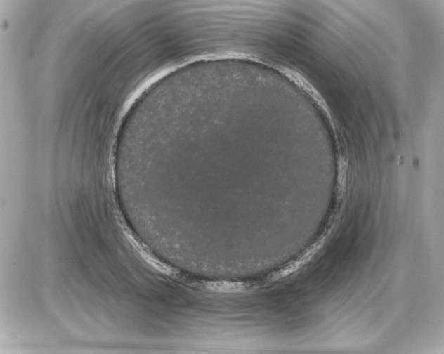 X0000085220789200704091930