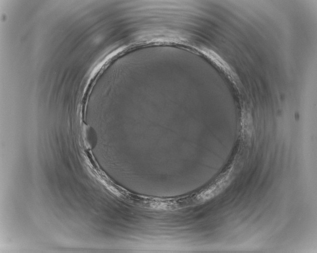 X0000085220790200704091930